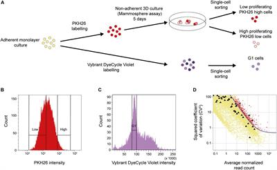 Identification of Breast Cancer Stem Cell Related Genes Using Functional Cellular Assays Combined With Single-Cell RNA Sequencing in MDA-MB-231 Cells